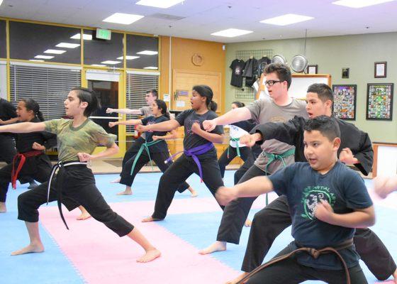 Taylor Martial Arts Academy students in action!