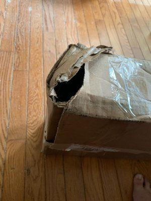 Damaged box