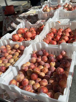 Plums & Pomegranates  at the Clement Street Farmers Market