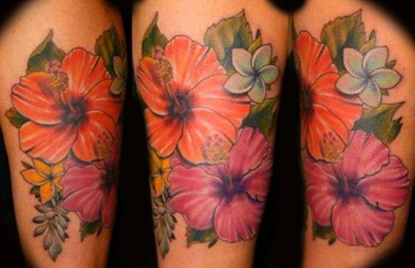 Pretty flowers by Tony Styles