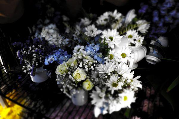 Flowers, Naturally! - spray roses, "million stars", hydrangeas, statice, daisies, grevillea & delphiniums - custom floral designs in NYC.