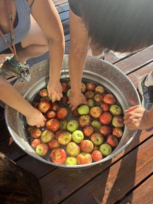 Apple Press apples