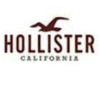 Hollister Co.