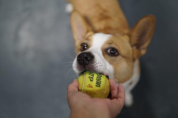 Let's play ball!