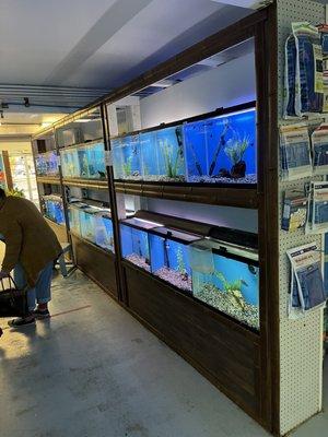 Aquarium Paradise