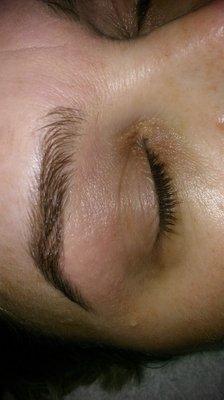 eyebrow tinting and waxing $38