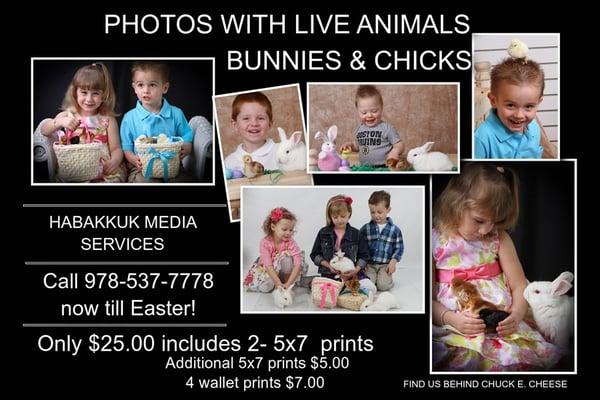 Live bunnies and chicks this weekend for photos!