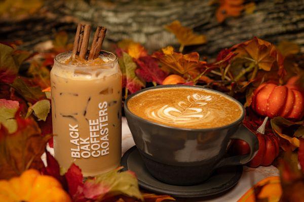 Black Oak Coffee Roasters