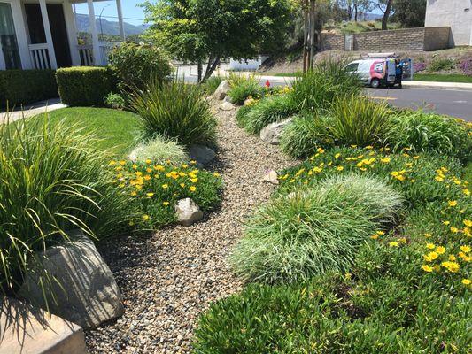 Front yard dry riverbed