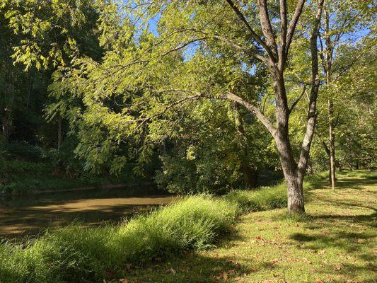 On the banks of Deer Creek