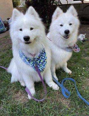 Nymeria and Kenzo