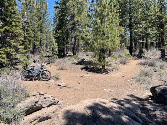 Sawtooth Trail, Truckee, California