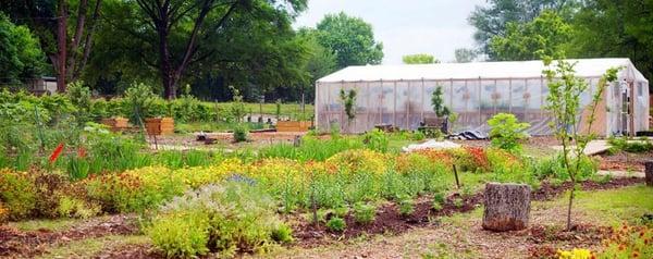 Wheat Street Garden