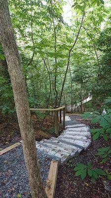 Battle Creek Cypress Swamp