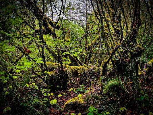 View on a hike.