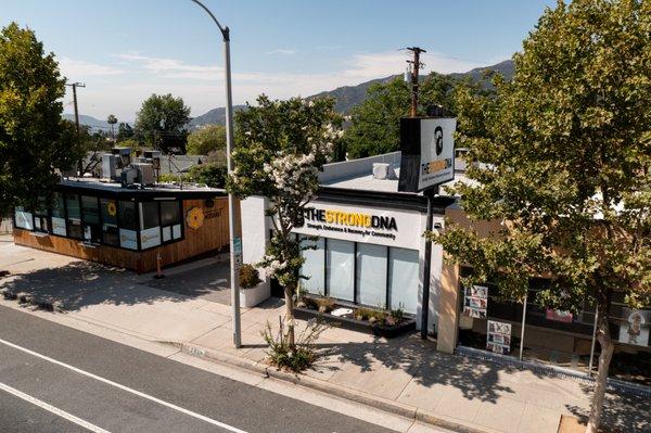 The Strong DNA - 2866 Foothill Blvd, La Crescenta-Montrose, CA 91214 - (818) 330-9184