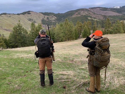 Spotting a mixed hear of white tail and mule deer on other mountain, and accessing how we would approach them in the fading light or wait.