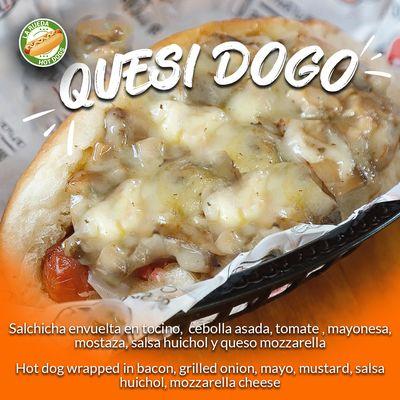 quesi dogo