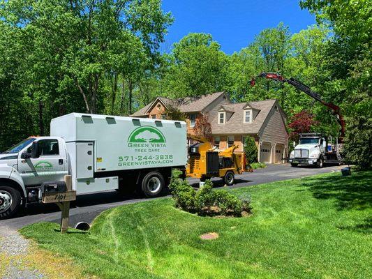 Safely removing a tree from the backyard and bringing it out to the front with our crane.