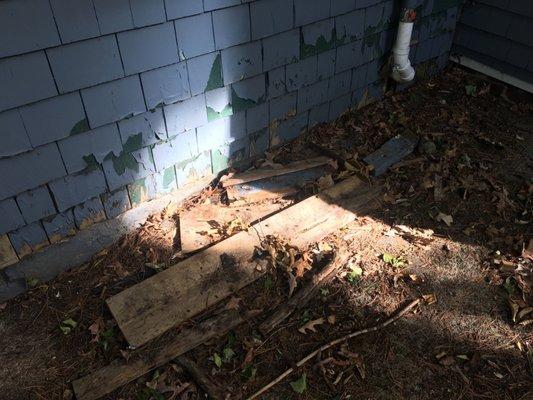 Rotten wood dumped behind house