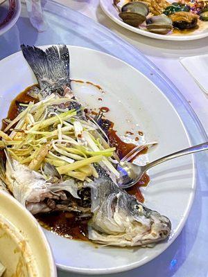 Steamed Striped Bass