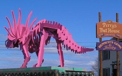 Look for our big Pink Dinosaur on Route One, Belfast, just over the bridge as you head east toward Acadia National Park.