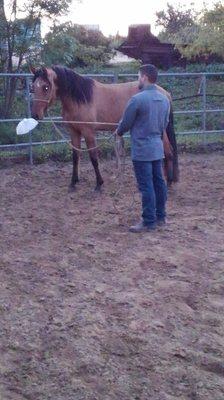 Trainer from Brazil working with a 3 yr old Mangalarga Marchador mare, born and breed at Rancho de Los Cielos