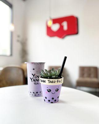 Paint & Sip boba themed pottery and succulent workshop on 10/7 12-2pm