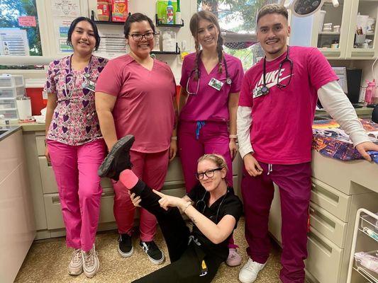 On Wednesday's we wear pink! Happy Vet Tech Week!