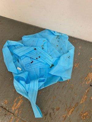 This bag was inside one of my bins, Covered in RAT excrement and urine