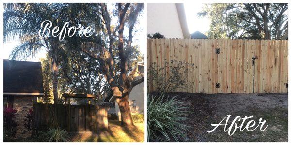 Removal of queen palm, arbor, and installation of new gate/fencing