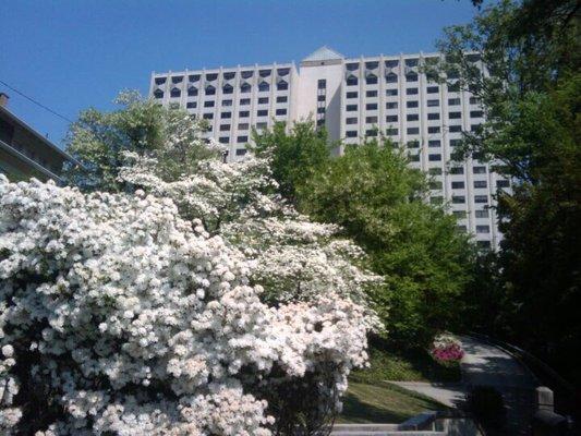 Parklane on Peachtree Condominiums (my old crib), off Peachtree Road with a view of Downtown Buckhead & Downtown Atlanta