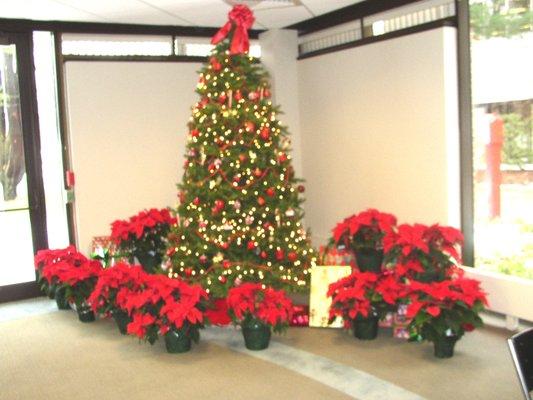 Wilmington Massachusetts Holiday/ Christmas Designs Trees, Wreaths More by Plantscape Designs  Inc