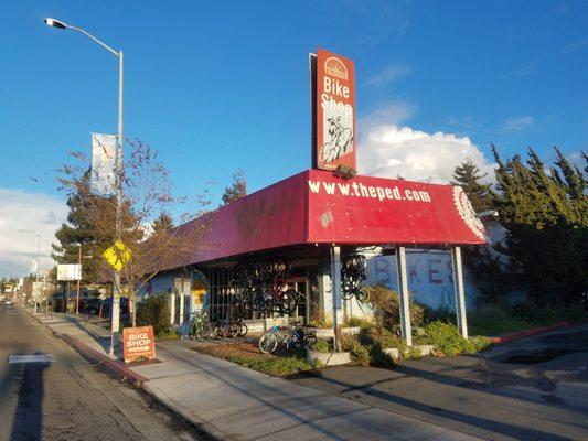 The Pedaler Bike Shop