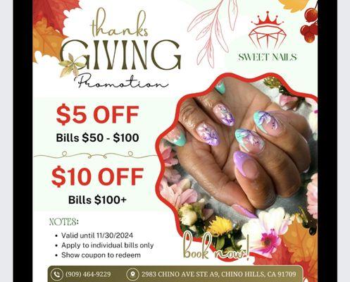 Thanksgiving promotion