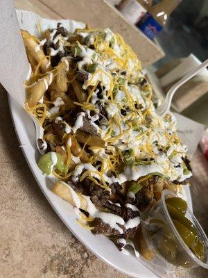 Carne Asada Fries