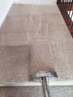 Giving a carpet a deep scrubbing!