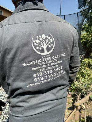 Majestic tree care