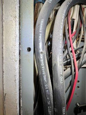 A small hole is visible in the main electrical wire. Someone in the past had screwed a screw into the wire.