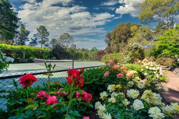 One of few properties sold each year in Los Altos Hills With a Tennis Court.