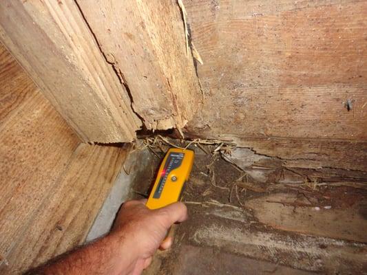 PMT using a moisture meter to determine the level of moisture pentration.