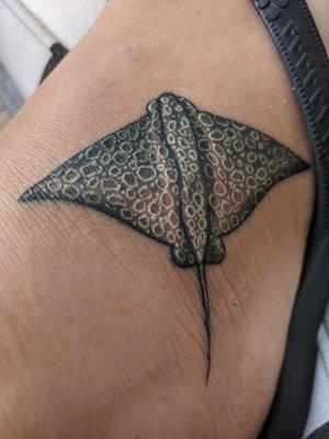 Spotted eagle ray tattoo by Austin