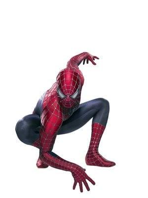 photo of Spiderman Z.