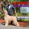 Photo of Alfonso's Mobile Pet Grooming P.