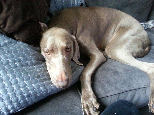 photo of SophTheWeim H.