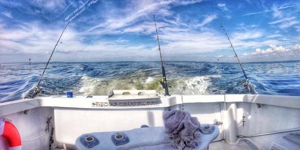 Damn Yankee Fishing Charters