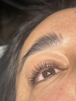 Lash Lift and tint