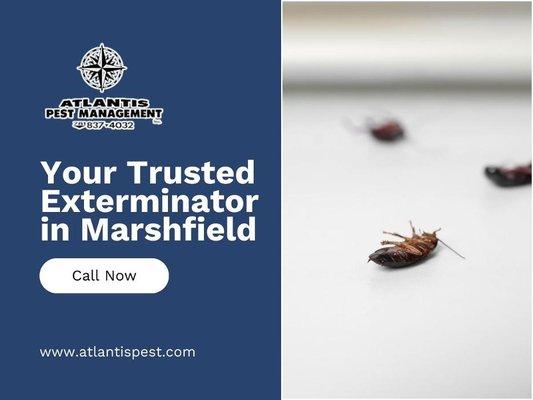 8_Atlantis Pst Mgmt Inc_Your Trusted Exterminator in Marshfield.jpg