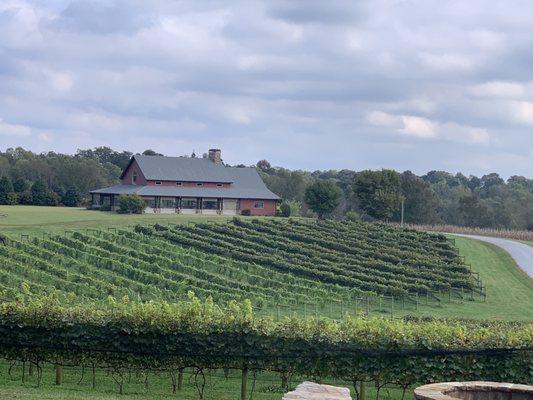 Beautiful view overlooking the vineyard and reception hall