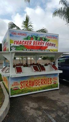 Come by and get a taste of the sweetest Strawberries on earth!! Fresh picked daily Non-GMO! Vine-ripened